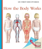 How The Body Works