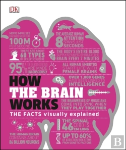 Bertrand.pt - How The Brain Works