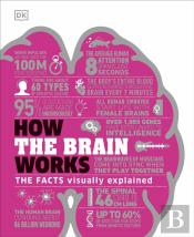 How The Brain Works