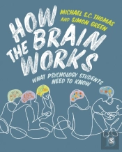How The Brain Works