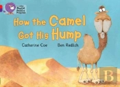 How The Camel Got His Hump
