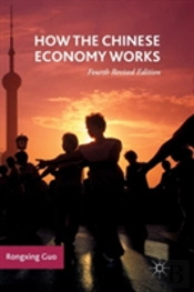How The Chinese Economy Works