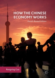 How The Chinese Economy Works