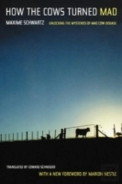 How The Cows Turned Mad