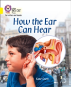 How The Ear Can Hear