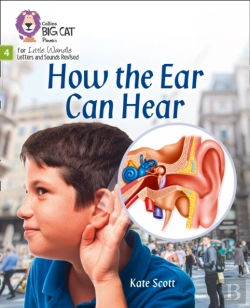 Bertrand.pt - How The Ear Can Hear