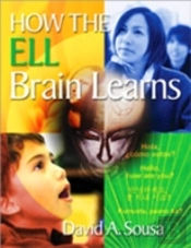 How The Ell Brain Learns