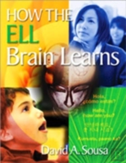 Bertrand.pt - How The Ell Brain Learns