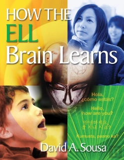 Bertrand.pt - How The Ell Brain Learns