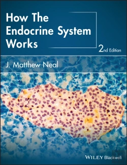 Bertrand.pt - How The Endocrine System Works
