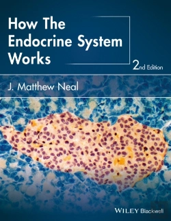 Bertrand.pt - How The Endocrine System Works