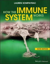 How The Immune System Works