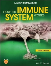 How The Immune System Works