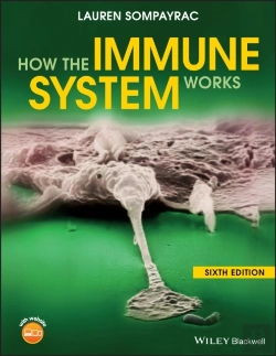 Bertrand.pt - How The Immune System Works