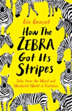 Bertrand.pt - How The Zebra Got Its Stripes