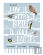 How To Attract Birds To Your Garden