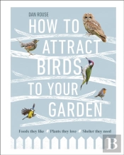 How To Attract Birds To Your Garden