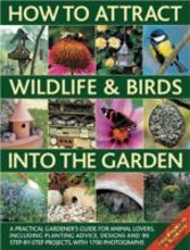 How To Attract Wildlife Birds Garden Pk