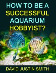 How To Be A Successful Aquarium Hobbyist
