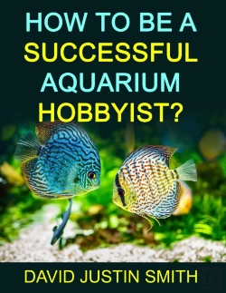 Bertrand.pt - How To Be A Successful Aquarium Hobbyist