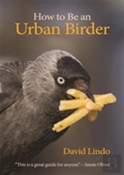 How To Be An Urban Birder