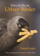How To Be An Urban Birder