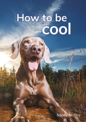 How To Be Cool