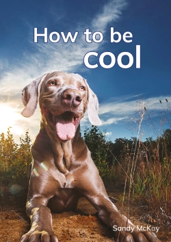 Bertrand.pt - How To Be Cool
