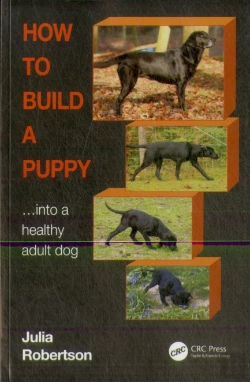 Bertrand.pt - How To Build A Puppy