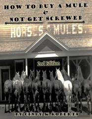 How To Buy A Mule & Not Get Screwed
