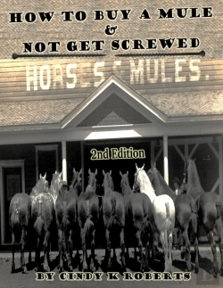 Bertrand.pt - How To Buy A Mule & Not Get Screwed