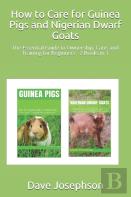 How To Care For Guinea Pigs And  Nigerian Dwarf Goats