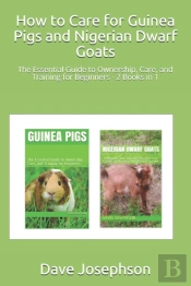 How To Care For Guinea Pigs And  Nigerian Dwarf Goats