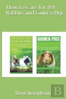How To Care For Pet Rabbits And Guinea Pigs