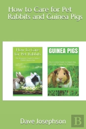 How To Care For Pet Rabbits And Guinea Pigs