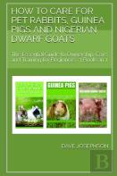 How To Care For Pet Rabbits, Guinea Pigs And Nigerian Dwarf Goats