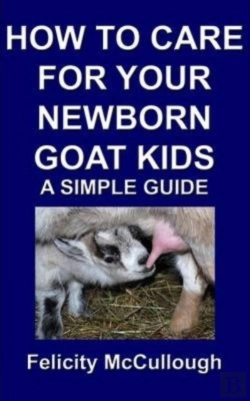 Bertrand.pt - How To Care For Your Newborn Goat Kids A Simple Guide