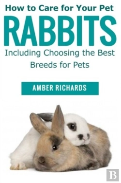 Bertrand.pt - How To Care For Your Pet Rabbits