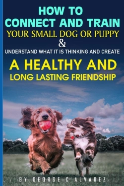 Bertrand.pt - How To Connect And Train Your Small Dog Or Puppy And Understand What It Is Thinking And Create A Healthy And Long Lasting Friendship