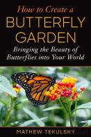 How To Create A Butterfly Garden