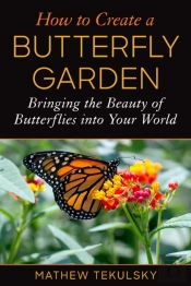 How To Create A Butterfly Garden