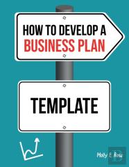 How To Develop A Business Plan Template