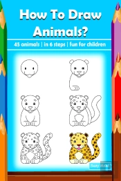 How To Draw Animals?