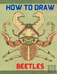 How To Draw Beetles