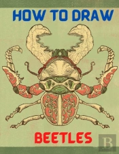 How To Draw Beetles