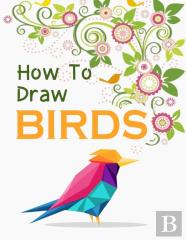 How To Draw Birds