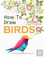 How To Draw Birds