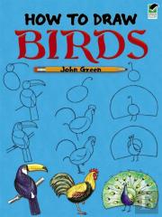 How To Draw Birds