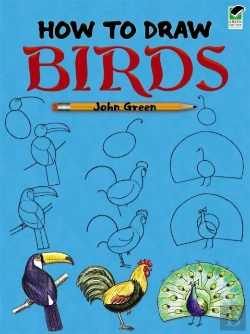 Bertrand.pt - How To Draw Birds