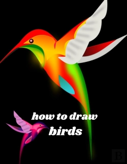 Bertrand.pt - How To Draw Birds